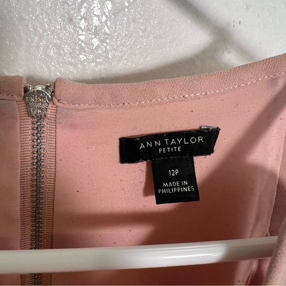 Ann Taylor Sleeveless Shift Dress Dusty Rose Scalloped 12P - Picture 8 of 10